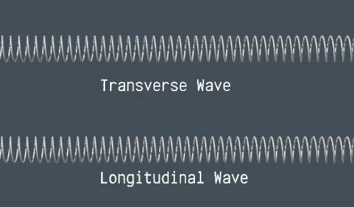 Animation comparing transverse and longitudinal waves on a slinky